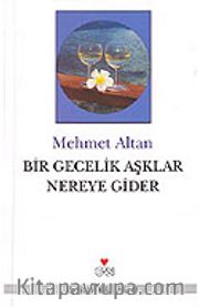 Bir Gecelik Aşklar Nereye Gider
