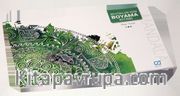 Büyüklere Boyama Kitabı - Doğa (CA.1008)