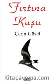 Fırtına Kuşu