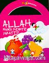 Allah Hangi Renkte Yarattı