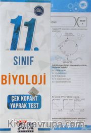 11. Sınıf Biyoloji Çek Kopart Yaprak Test