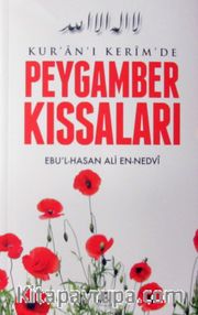 Kur'an-ı Kerim'de Peygamber Kıssaları