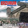 Erzurum (VCD)