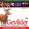 Geyikler (VCD)