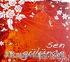Sen Gülünce (Cd)