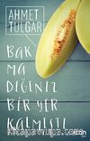 Bakmadığınız Bir Yer Kalmıştı