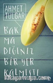 Bakmadığınız Bir Yer Kalmıştı