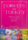 Flowers In Turkey (Türkiye'nin Çiçekleri)