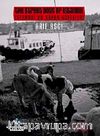 İstanbul'un Sokak Köpekleri