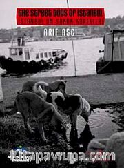 İstanbul'un Sokak Köpekleri