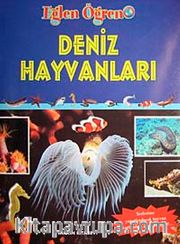 Deniz Hayvanları / Eğlen Öğren