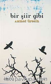 Bir Şiir Gibi