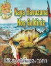Kaya Havuzuna Hoş Geldiniz