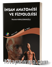 İnsan Anatomisi ve Fizyolojisi