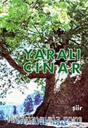 Yaralı Çınar