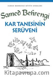 Kar Tanesinin Serüveni
