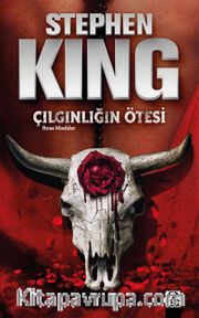 Çılgınlığın Ötesi