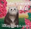 Adını Sevmeyen Kedi