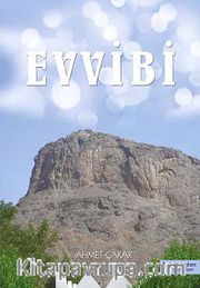 Evvibi