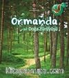 Ormanda Bir Doğa Yürüyüşü