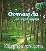 Ormanda Bir Doğa Yürüyüşü