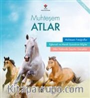 Muhteşem Atlar