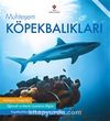 Muhteşem Köpekbalıkları