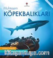 Muhteşem Köpekbalıkları