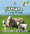 Çiftlikte Bir Doğa Yürüyüşü