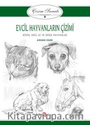 Evcil Hayvanların Çizimi