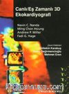 Canlı/Eş Zamanlı 3D Ekokardiyografi