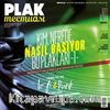 Plak Mecmuası Sayı: 2 Mart-Nisan-Mayıs 2018