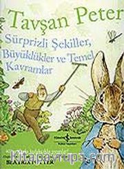 Tavşan Peter-Sürprizli Şekiller, Büyüklükler ve Temel Kavramlar