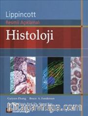 Histoloji Lippincott Resimli Açıklamalı