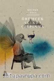 Örümcek Ağında Çırpınma