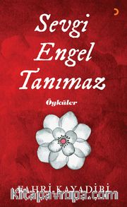 Sevgi Engel Tanımaz