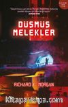 Düşmüş Melekler