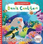Hareketli Deniz Canlıları 