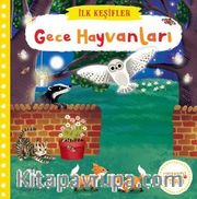 Hareketli Gece Hayvanları 