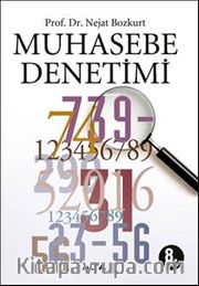 Muhasebe Denetimi