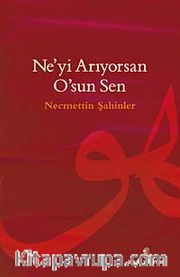 Ne'yi Arıyorsan O'sun Sen