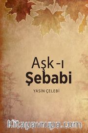 Aşk-ı Şebabi