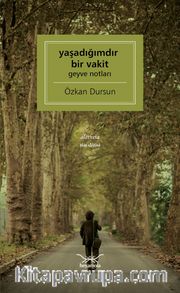Yaşadığımdır Bir Vakit Geyve Notları