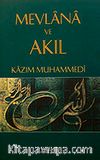 Mevlana ve Akıl