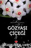 Gözyaşı Çiçeği