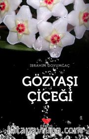 Gözyaşı Çiçeği