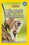 National Geographic Kids -Ağaçtaki Maymun