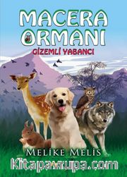 Macera Ormanı Gizemli Yabancı
