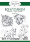 Evcil Hayvanların Çizimi / Çizim Sanatı 9 & Köpek, Kedi, At ve Diğer Hayvanlar