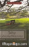 Bakıp Göremediklerimiz (Göze Takılanlar -2)